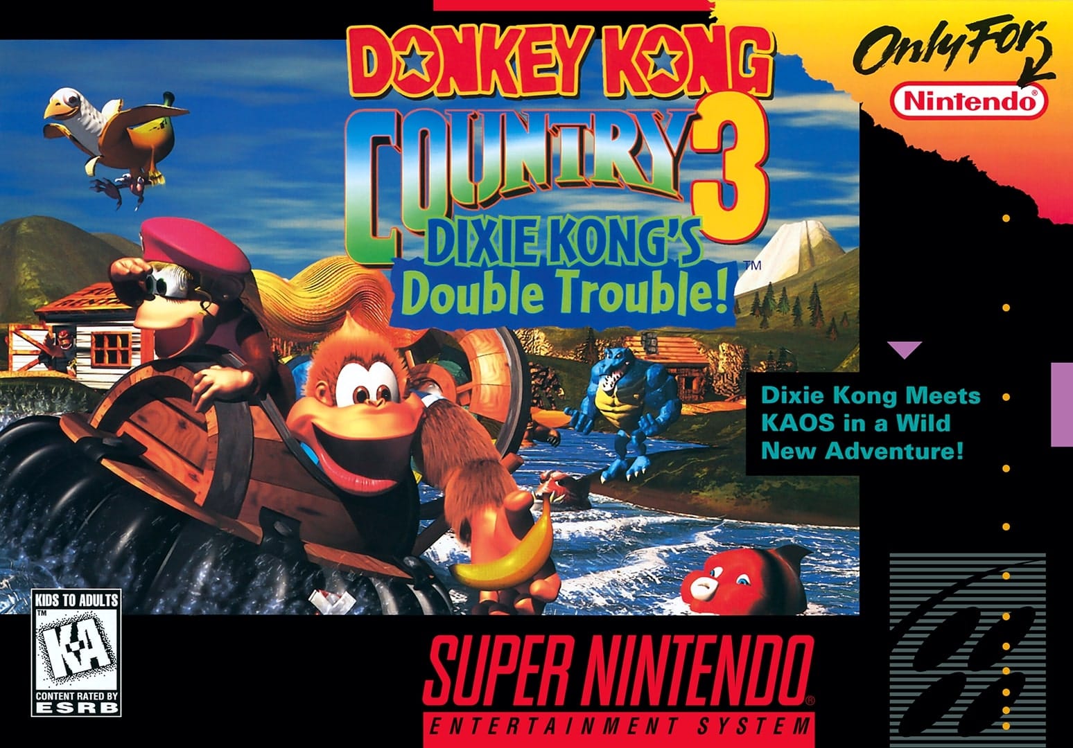 The 25 Best SNES Platformer Games 9 dkc3snes