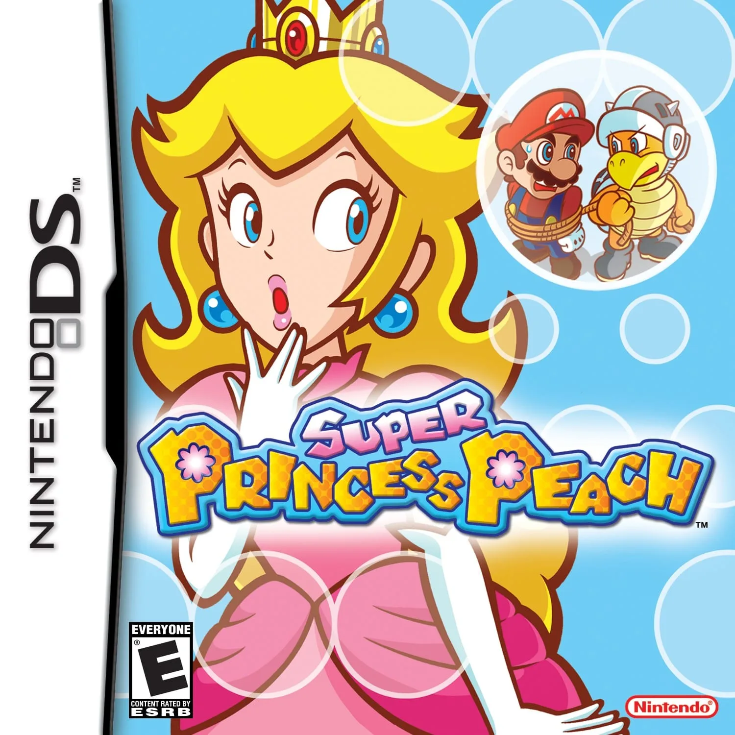 The 30 Best Nintendo DS Hidden Gems 4 SuperPrincessPeach